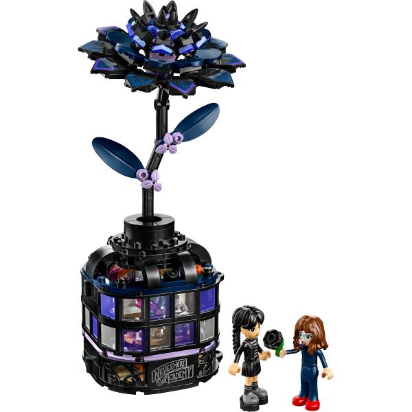 76784 | Black Dahlia Flower