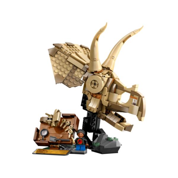 76969 | Dinosaur Fossils: Triceratops Skull
