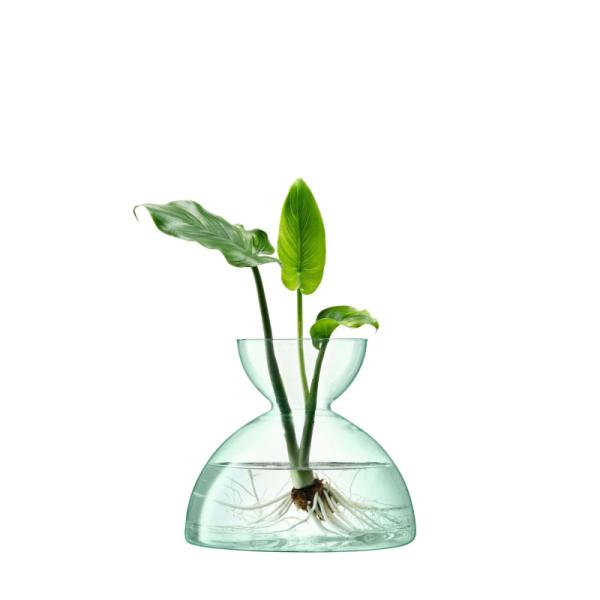 LSA | G1584-18-161 | Canopy Vase 18cm