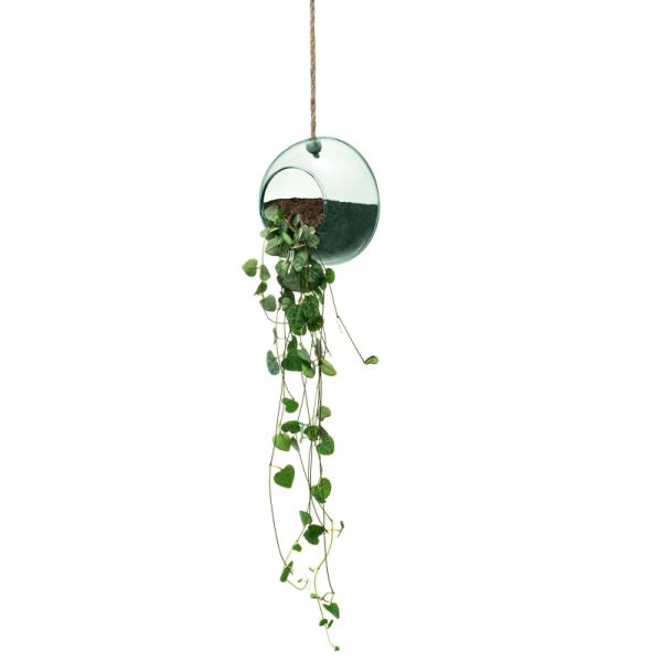 LSA | G1696-12-161 | Canopy Hanging Planter Ø 12cm Recycled