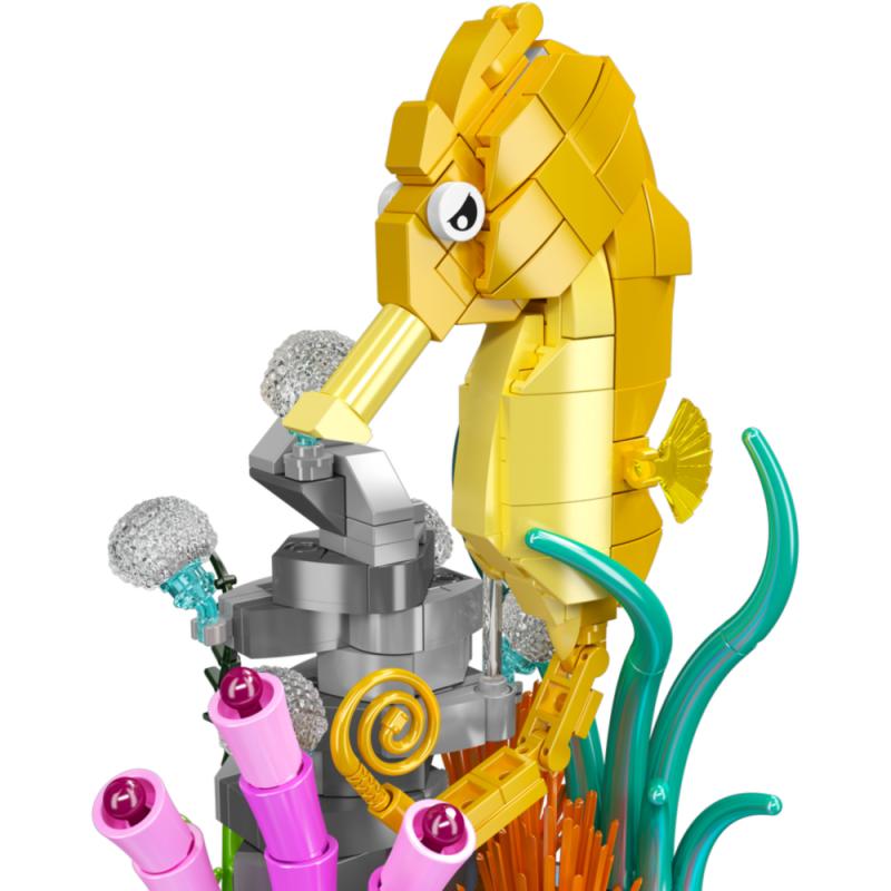 10100 | Seahorse