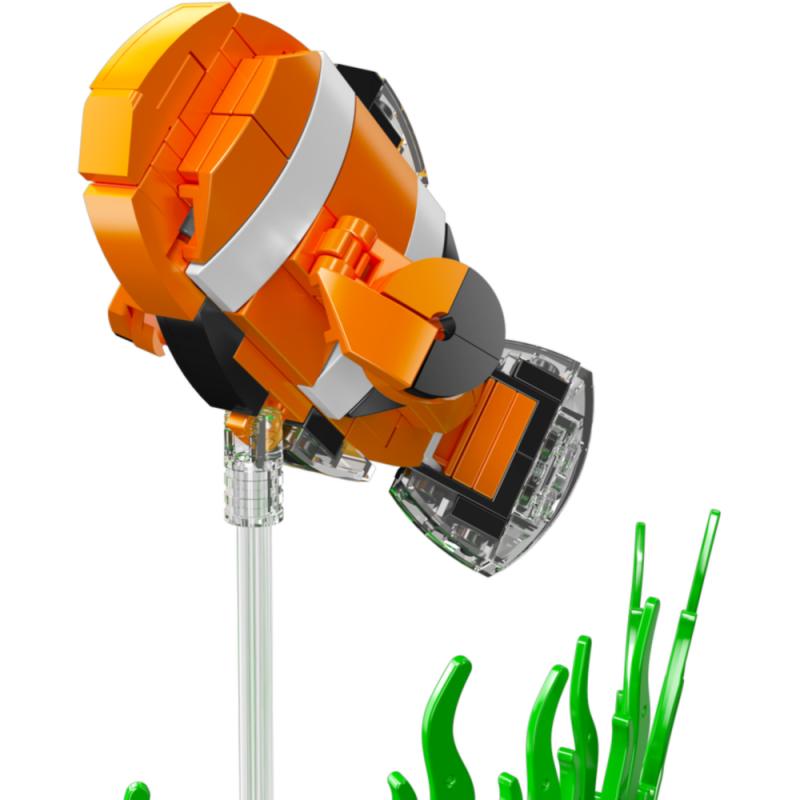 10102 | Clownfish