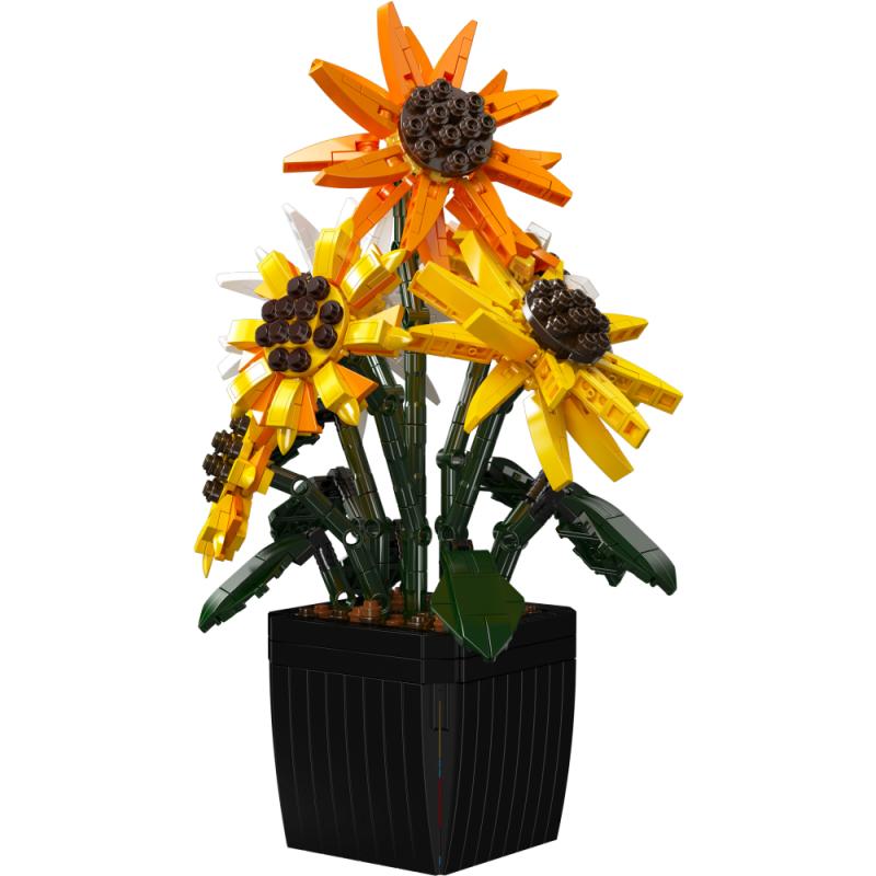 24111 | Sunflower 2