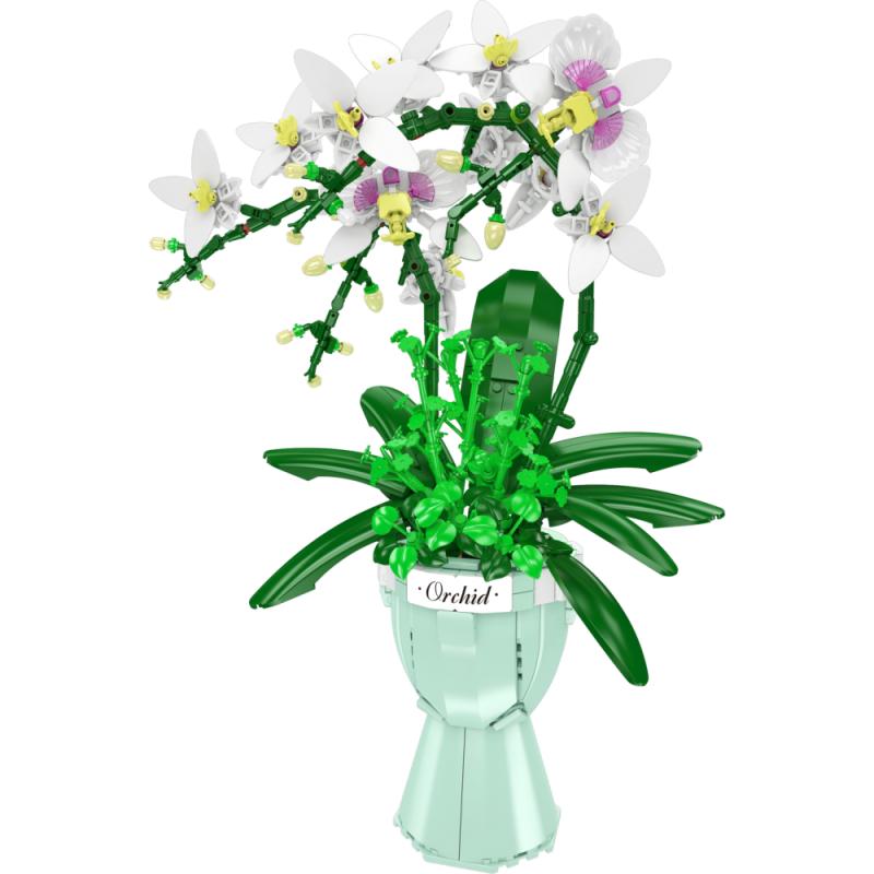 24123 | White Butterfly Orchid