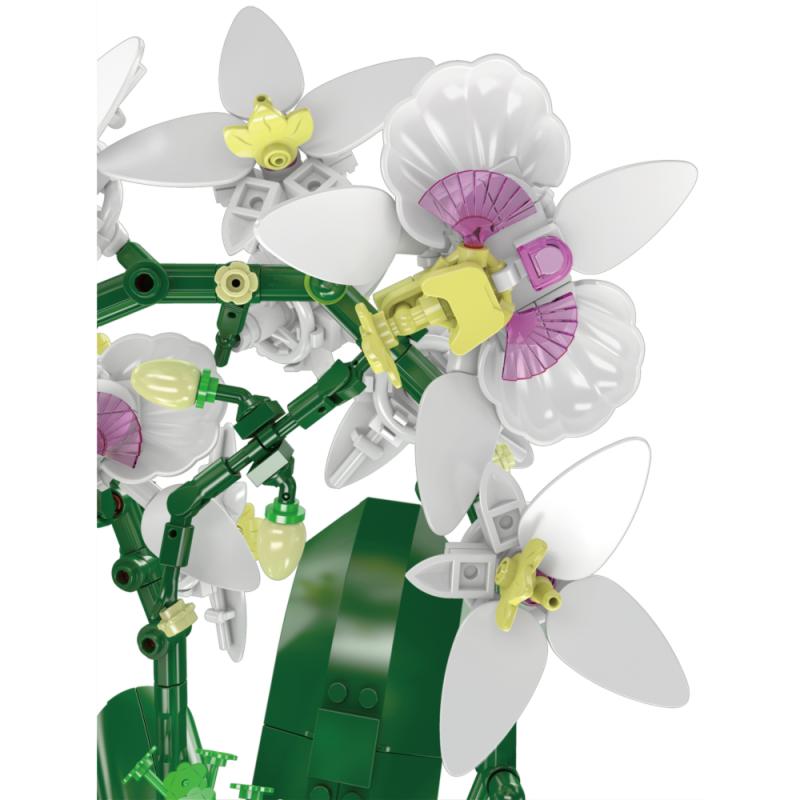 24123 | White Butterfly Orchid