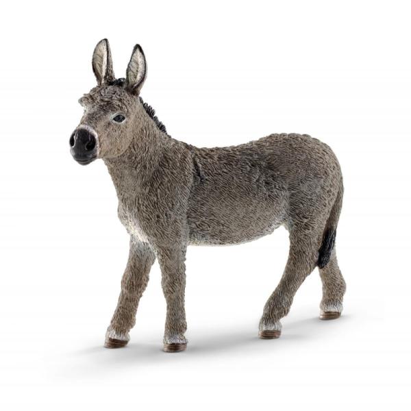 13772 | Donkey
