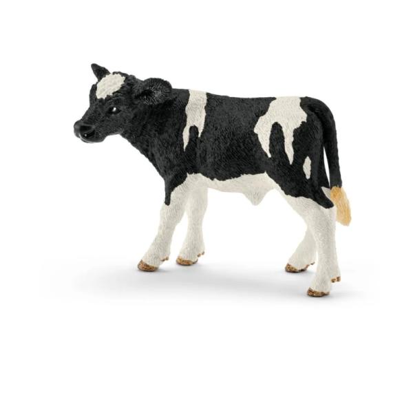 13798 | Holstein Calf