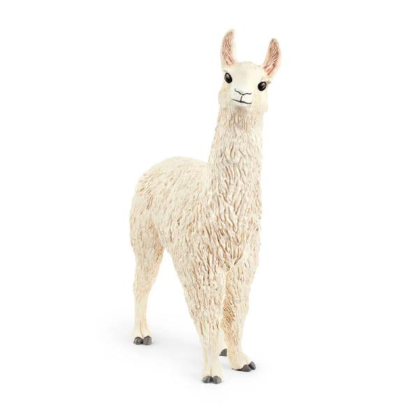 13920 | Llama