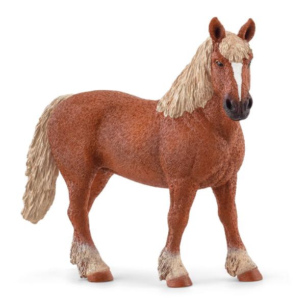 13941 | Belgian Draft Horse
