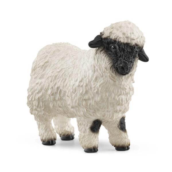 13965 | Valais Blacknose Sheep