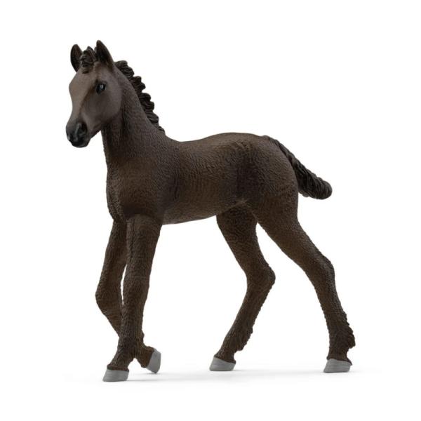13977 | Friesian Foal