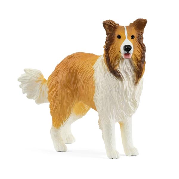 13998 | Collie