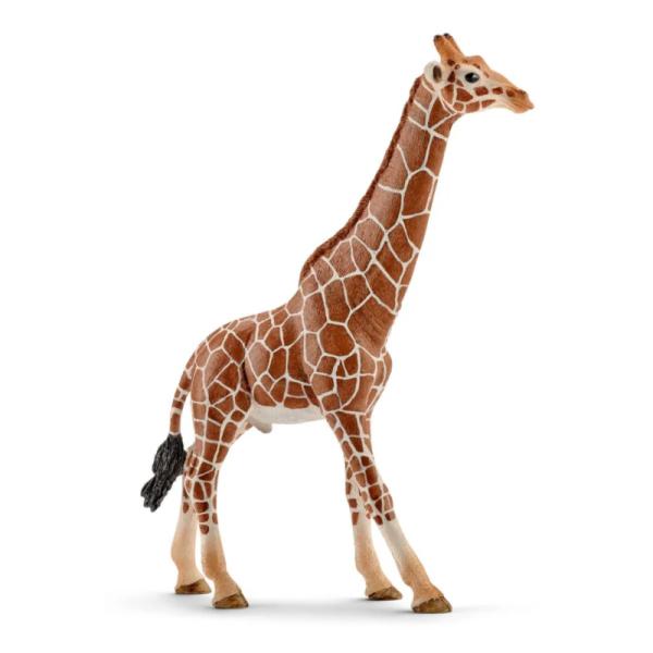 14749 | Giraffe