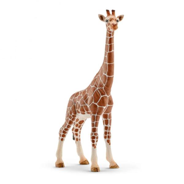 14750 | Giraffe