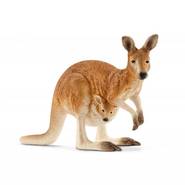 14756 | Kangaroo