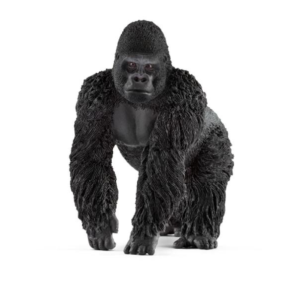 14770 | Gorilla