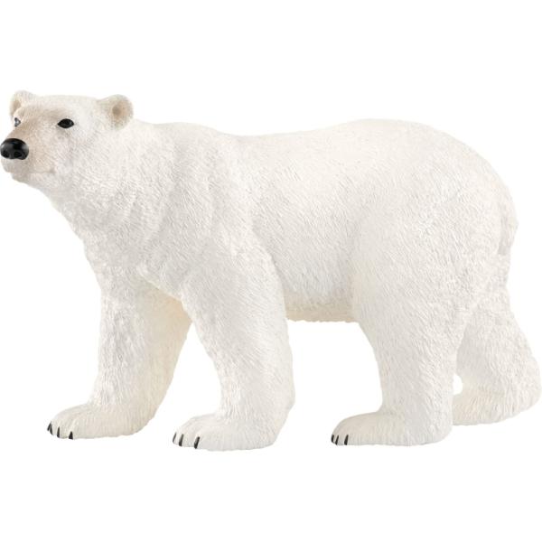 14800 | Polar Bear