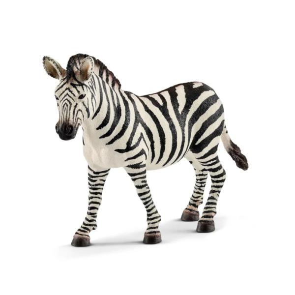 14810 | Zebra Female