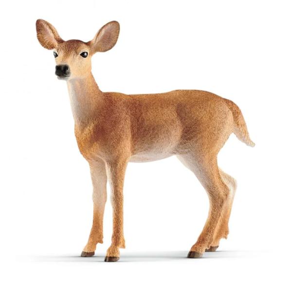 14819 | White-Tailed Doe