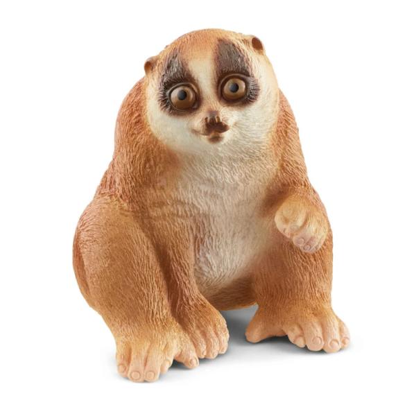 14852 | Slow Loris