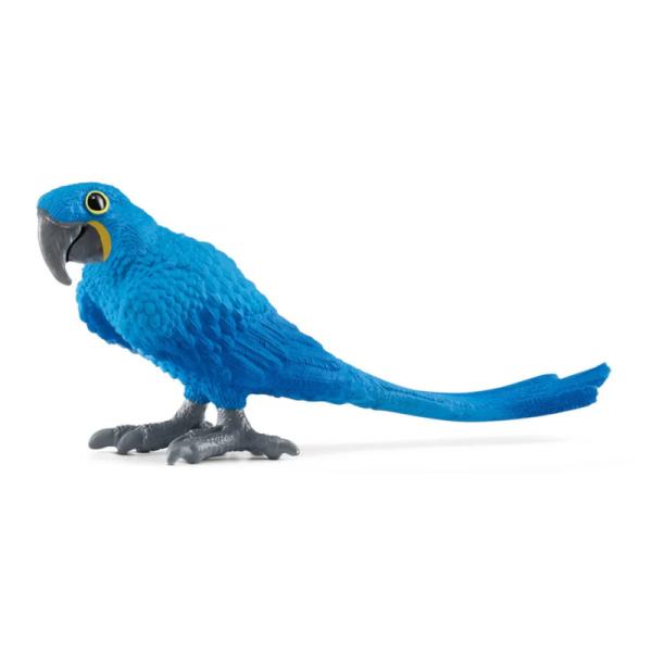 14859 | Hyacinth Macaw
