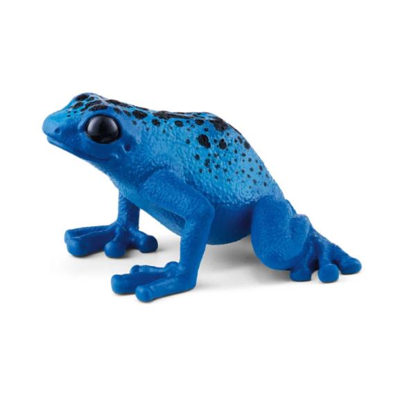 14864 | Blue Poison Dart Frog