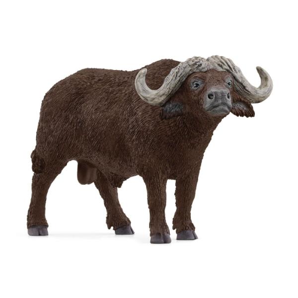 14872 | African Buffalo