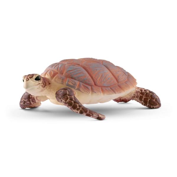 14876 | Hawskbill Sea Turtle