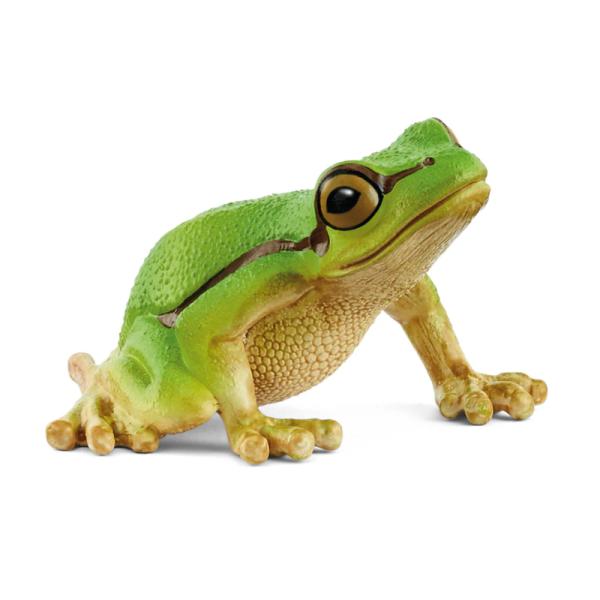 14882 | European Tree Frog