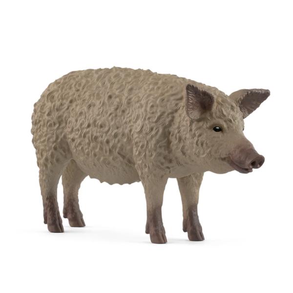 14892 | Mangalica Pig