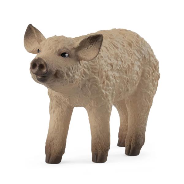 14893 | Mangalica Piglet