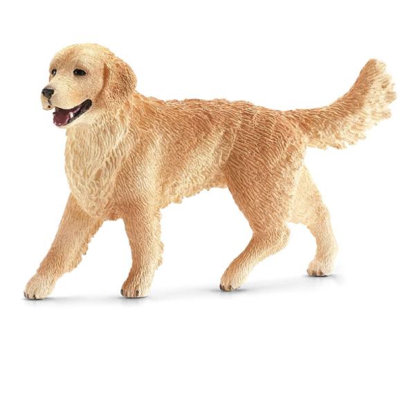 16395 | Golden Retriever