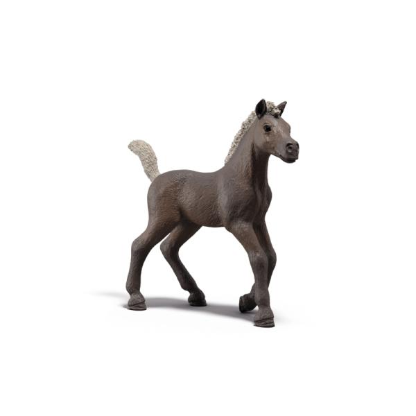 81460 | Collectible Foal Darcy